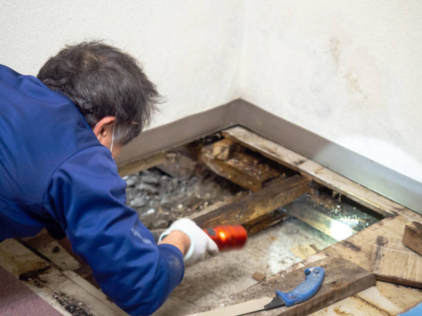 Best Crawl Space Mold Removal  in West Unity, OH