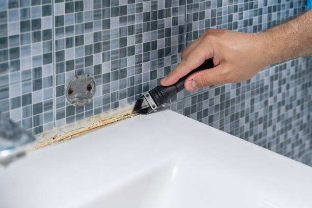 Best Home Mold Removal  in West Unity, OH